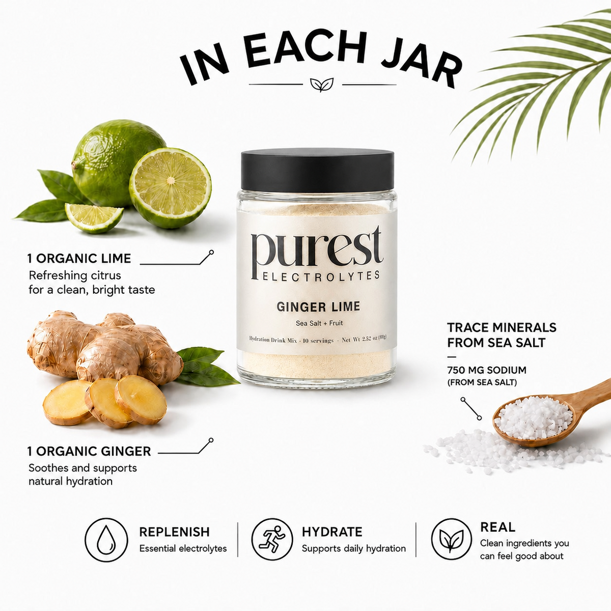 10 Servings Ginger Lime