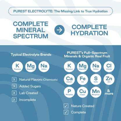 10 Servings Chocolate Cordyceps