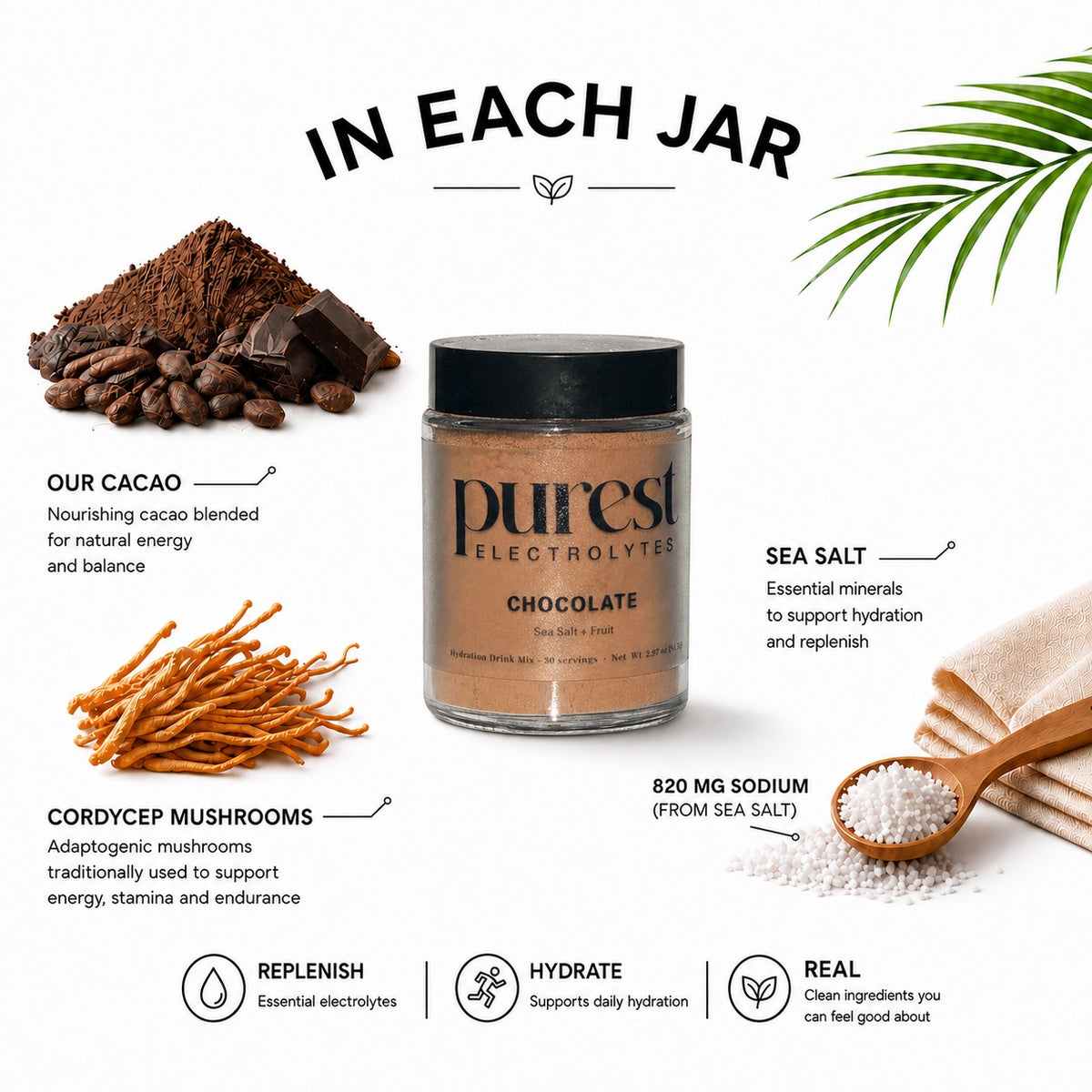 10 Servings Chocolate Cordyceps