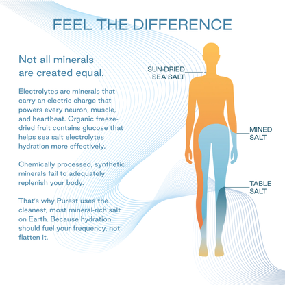 10 Servings Chocolate Cordyceps